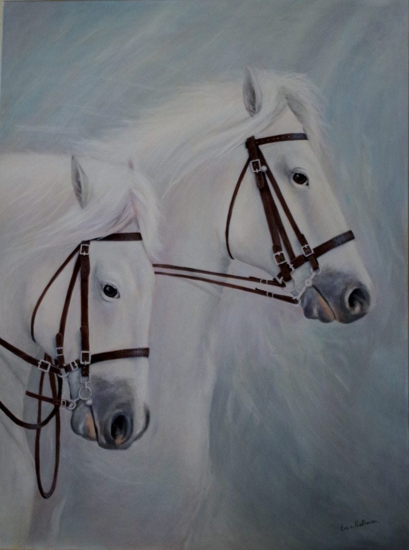 witte paarden